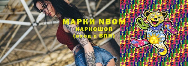 крисы Краснослободск