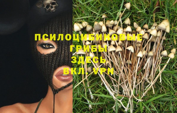 трава Краснотурьинск