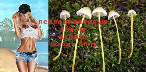 соль курить ск Кулебаки