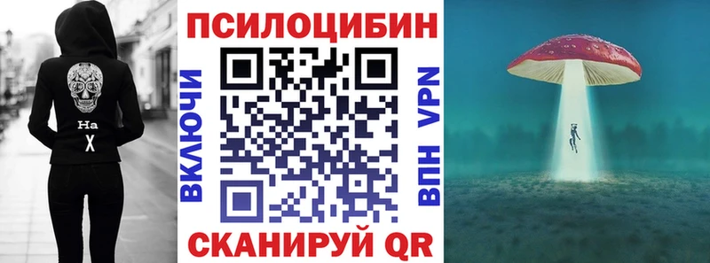 Псилоцибиновые грибы MAGIC MUSHROOMS  Купить закладки  Миньяр 
